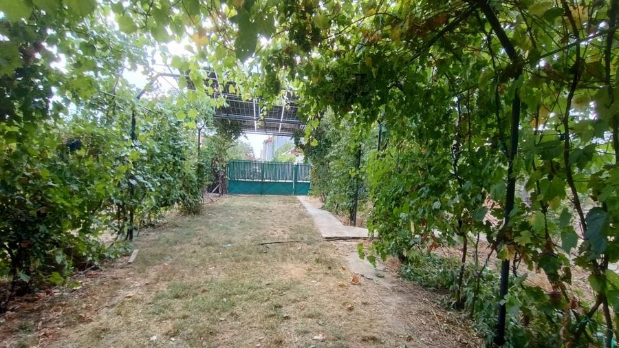 Casă individuală cu 4 camere cu Teren 2331 Mp în Coșoveni