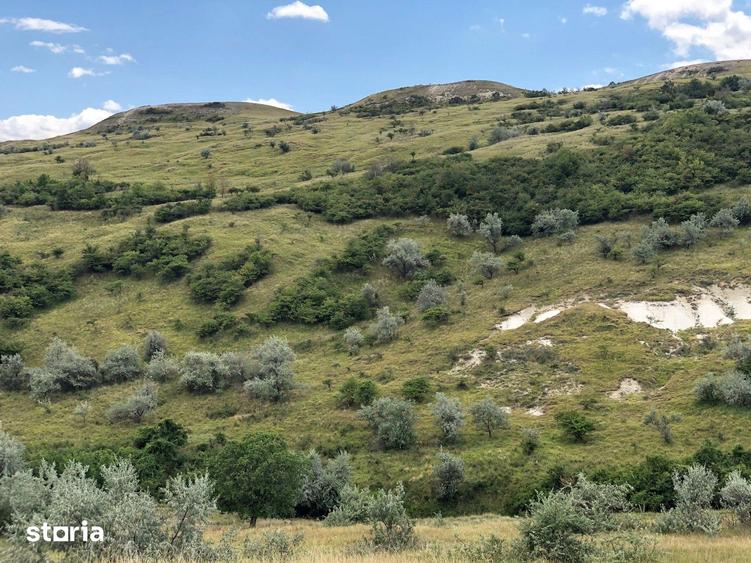 Teren de 500000 mp, în Gura Vadului