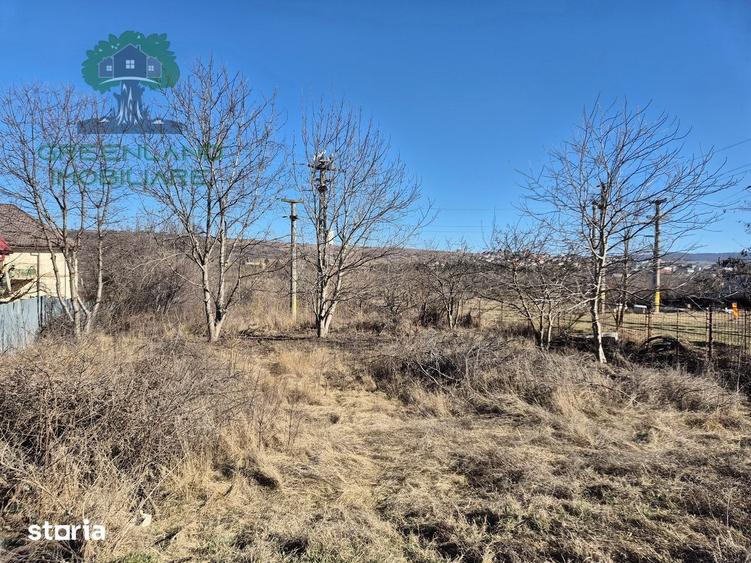 Teren de 1650 mp, în Ciurea