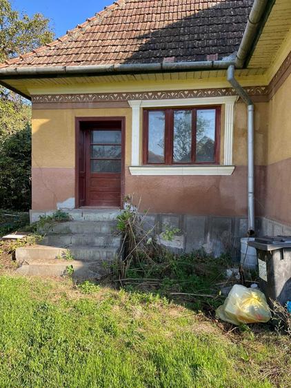 Casă cu 2 camere în Măhăceni
