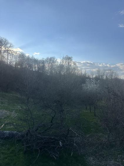 Teren intravilan - 6