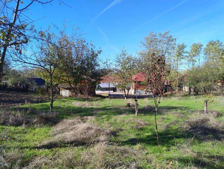 Casă cu 5 camere cu Teren 1100 Mp în Central