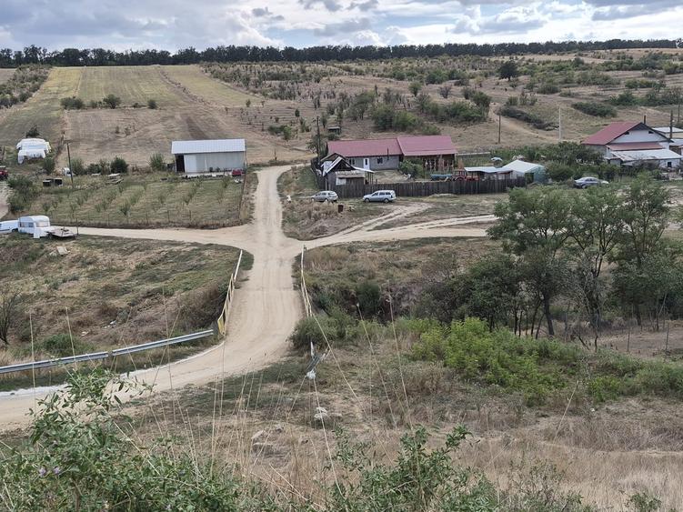 Teren agricol extravilan de 5 mp, în Palilula