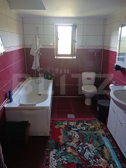 Casă individuală cu 2 camere cu Teren 3800 Mp în Brad