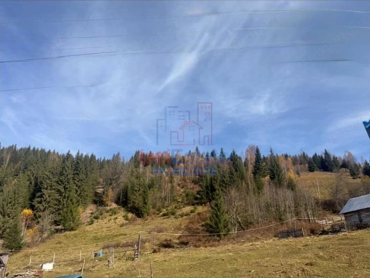 Teren de 22451 mp, în Dorna-Arini