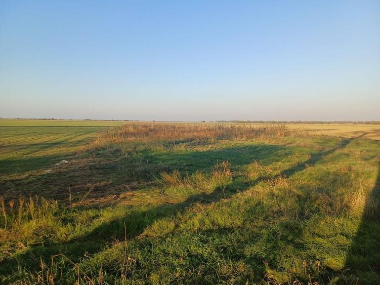 Teren agricol extravilan de 5300 mp, în Gruiu