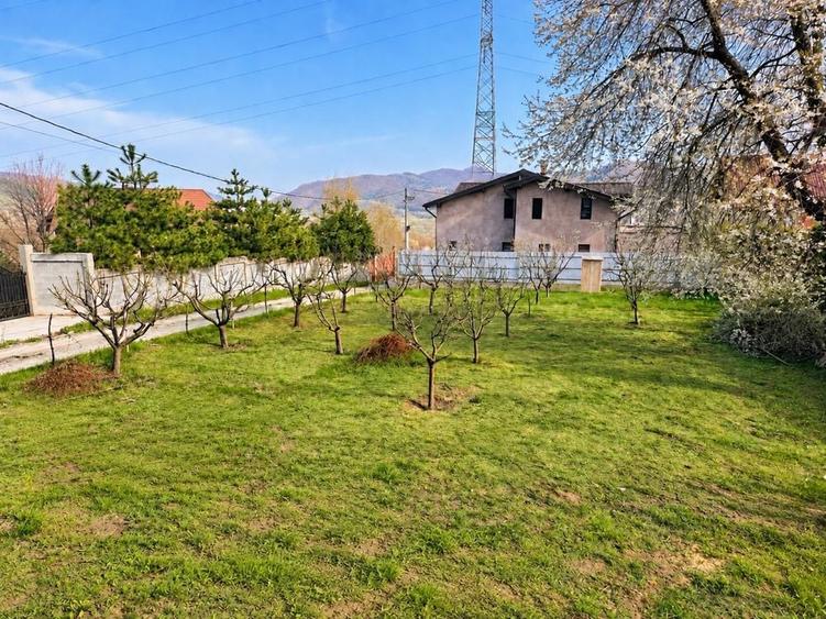 Spațiu comercial, în Bisericani