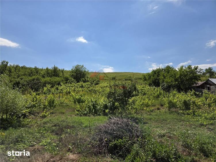 Teren de 4800 mp, în Tomești