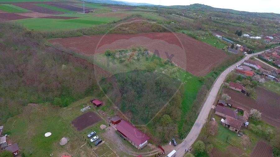 Teren agricol intravilan de 10000 mp, în Bădeni