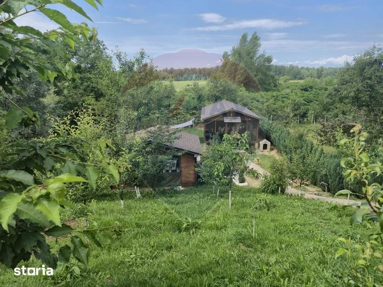 Casă cu 3 camere cu Teren 1268 Mp în Săpânța