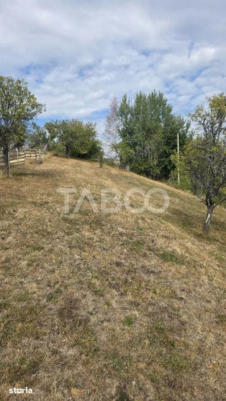 Teren de 8300 mp, în Săsciori