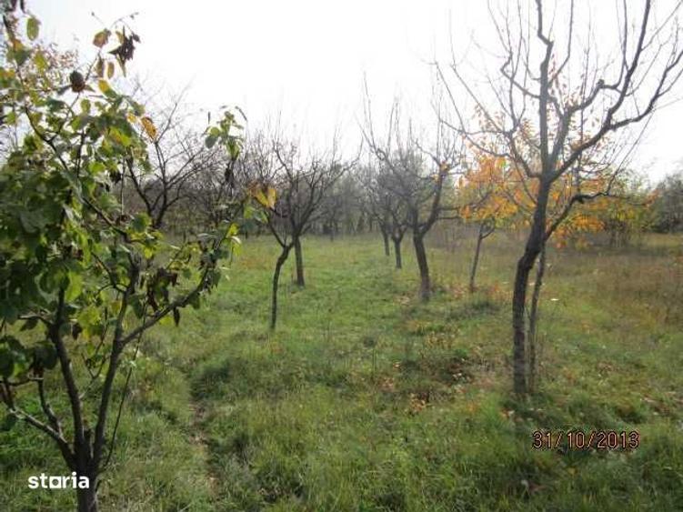 Teren de 4860 mp, în Central