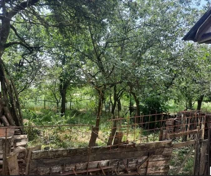 Casă cu 2 camere cu Teren 1300 Mp în Rediu