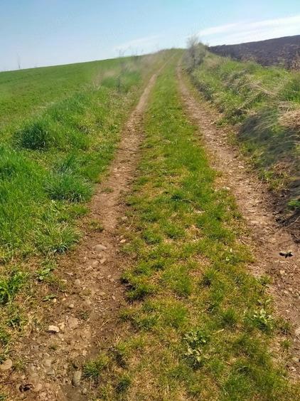 Teren de 3300 mp, în Râciu