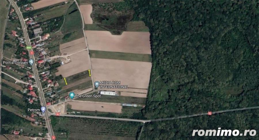 Teren de 3000 mp, în Ciolpani
