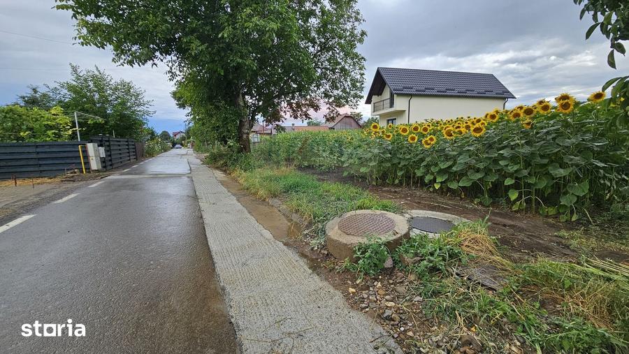 Teren de 2600 mp, în Lisaura