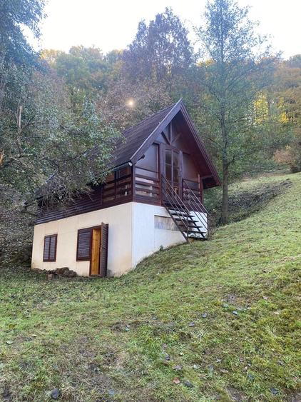 Casă cu 3 camere cu Teren 6300 Mp în Firiza