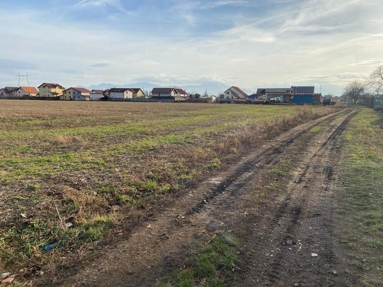 Teren Construcții intravilan de 502 mp, în Hălchiu