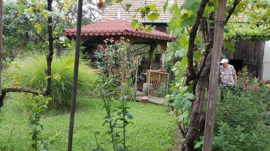 Casă cu 5 camere în Aluniș