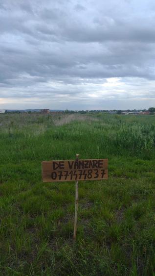 Teren de 4441 mp, în Sânmartin