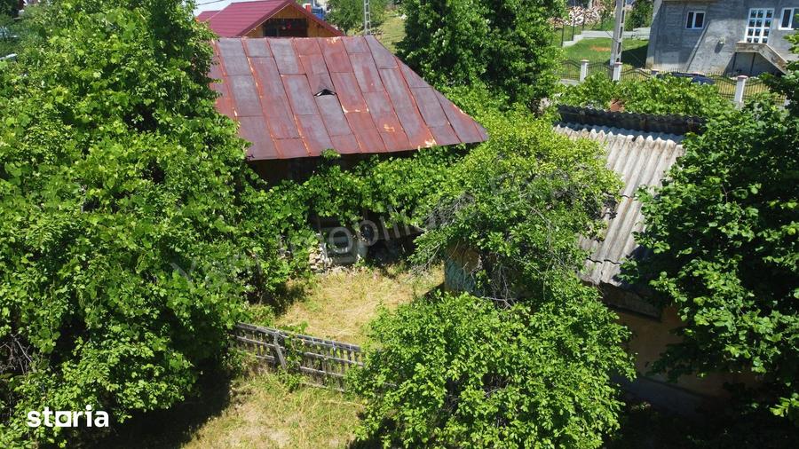 Teren de 6041 mp, în Cicănești