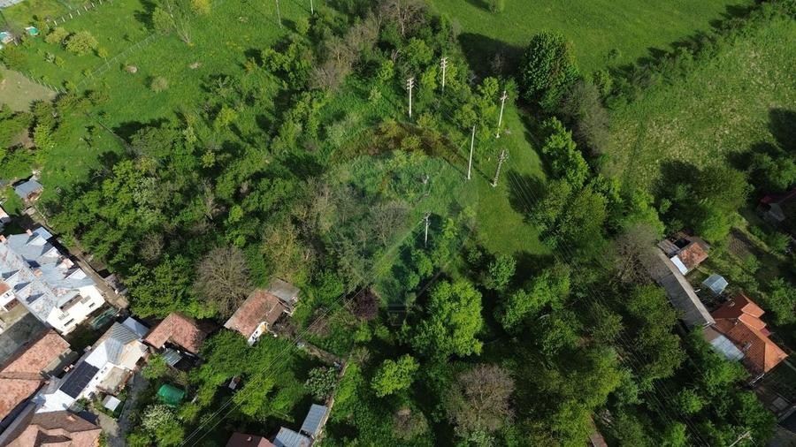 Teren Construcții intravilan de 3234 mp, în Lerești