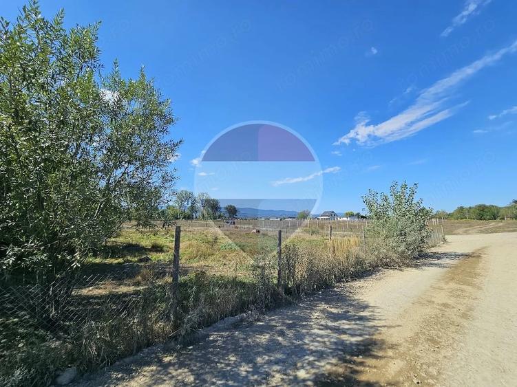 Teren de 3000 mp, în Câmpulung la Tisa