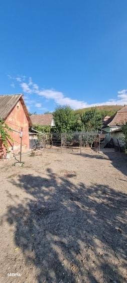 Casa cu 3 camere, anexe, curte si gradina - 4