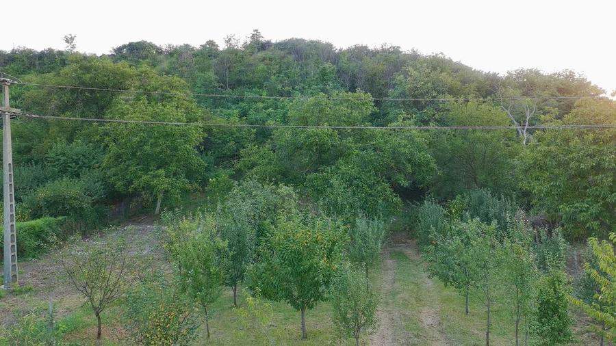 Teren de 3570 mp, în Vernești