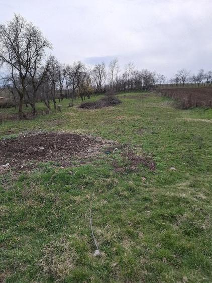 Teren de 1740 mp, în Feldioara