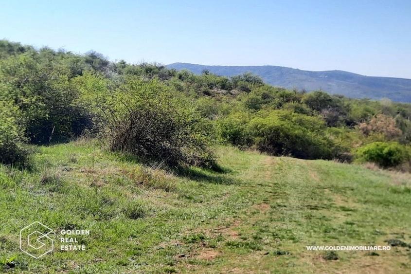 Teren Construcții intravilan de 4158 mp, în Ghioroc