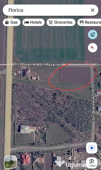 Teren de 1436 mp, în Florica