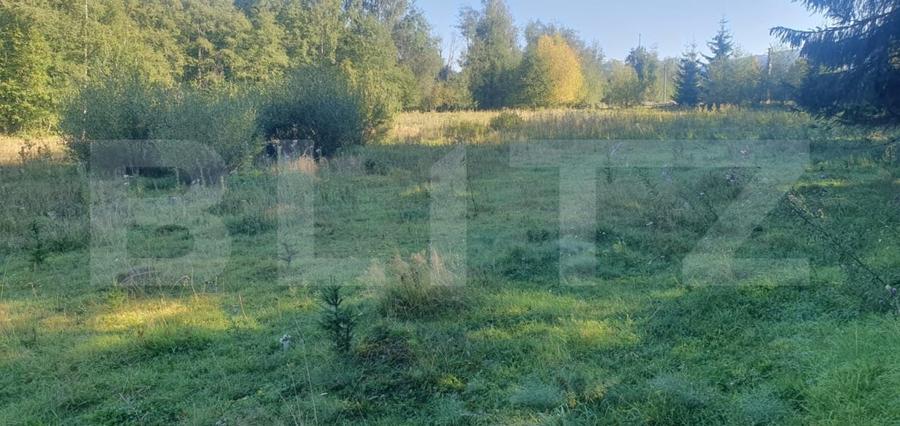 Teren Construcții intravilan de 14540 mp, în Vatra Dornei
