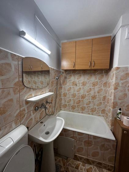 Garsonieră decomandată, mobilată în Alexandru cel Bun