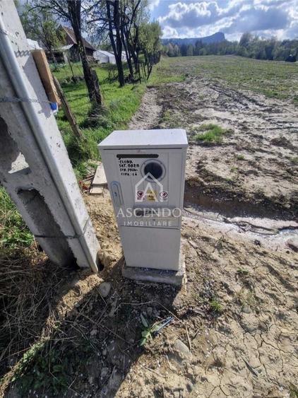 Teren Construcții extravilan de 19356 mp, în Breb