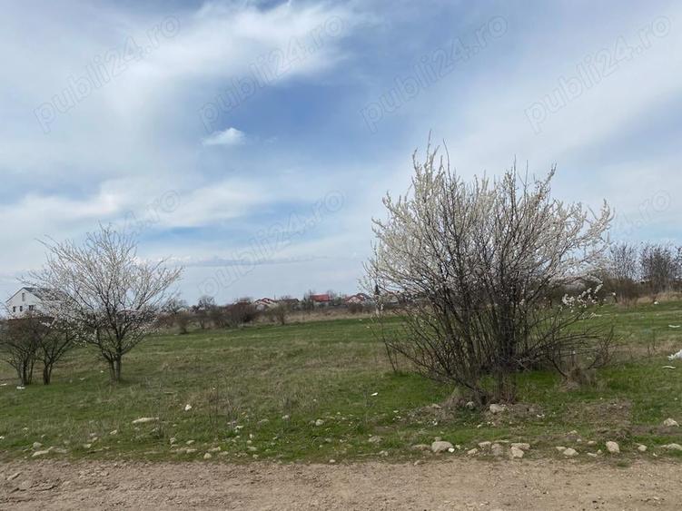 Teren de 937 mp, în Tamași
