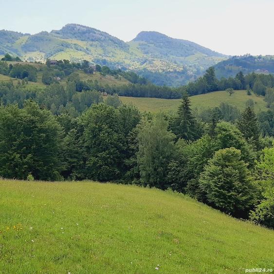 Teren de 7200 mp, în Peștera