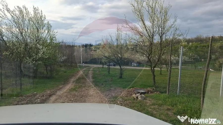Teren în Păulești