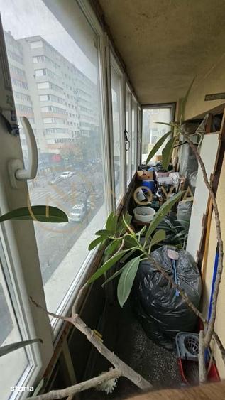 Vanzare apartament de 4 camere pe Bd Lacul Tei langa Parc - 10