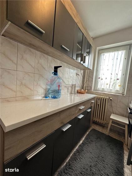 Inchiriere Apartament cu 2 camere Decomandat Podu Ros - 11