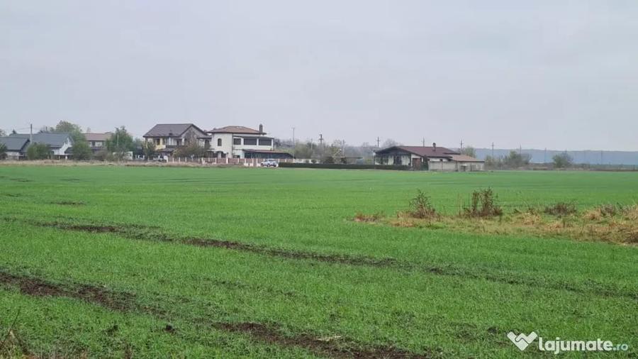 Teren de 3000 mp, în Brănești