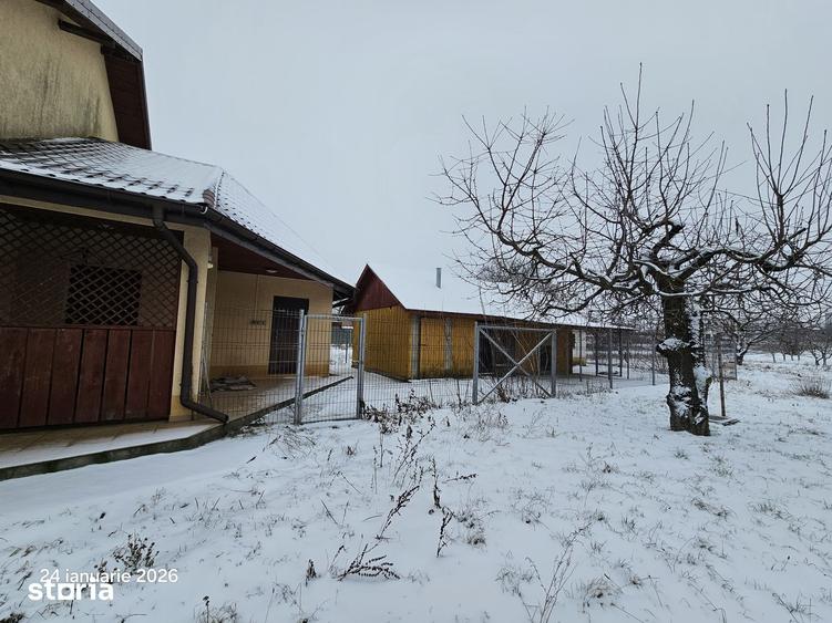 Casă cu 4 camere cu Teren 3000 Mp în Curtești