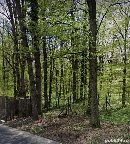 Teren de 1000 mp, în Băneasa