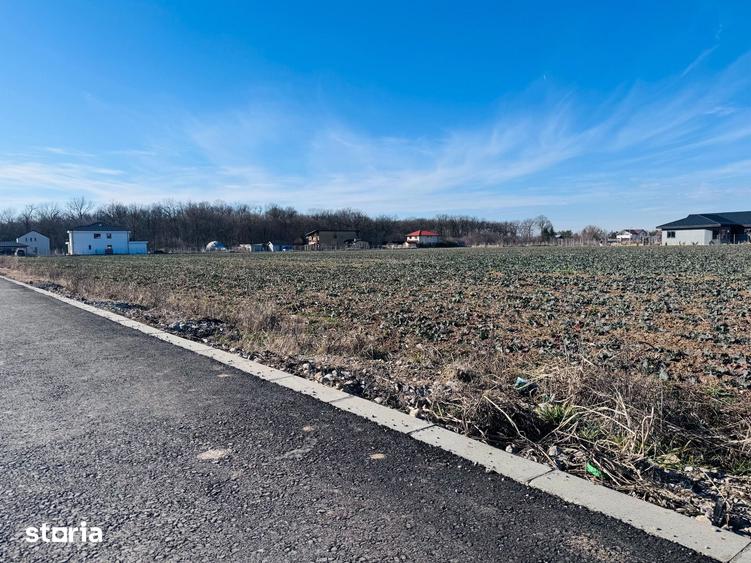 Teren de 1600 mp, în Snagov