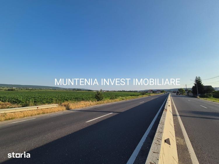 Teren 31703 mp. intravilan Purcareni, Com. Micesti - 4