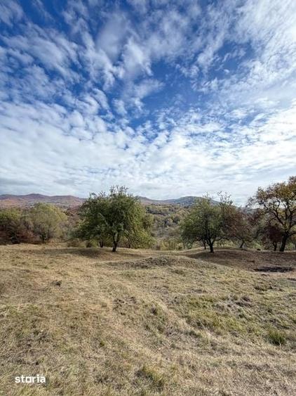 Teren de 8260 mp, în Corbi