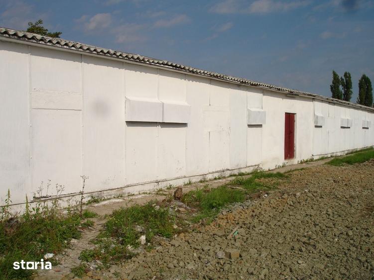 Teren de 180000 mp, în Gai