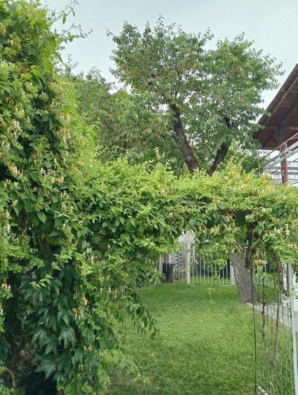 Casă cu 5 camere cu Teren 450 Mp în Central