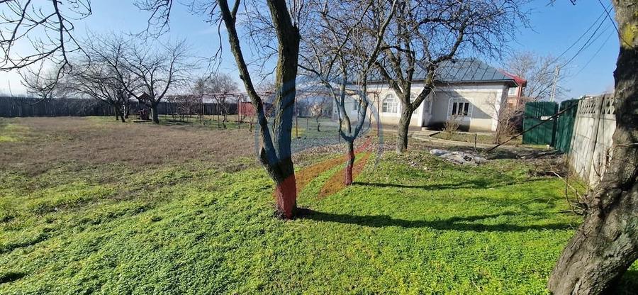 Casă cu 3 camere cu Teren 7952 Mp în Brădești