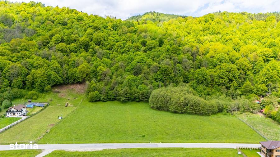 Teren de 5333 mp, în Plaiul Foii